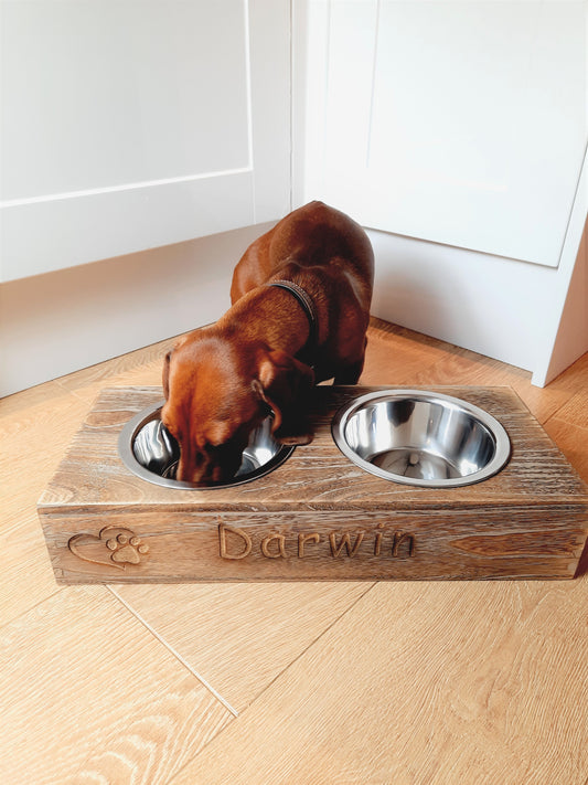 A brown dachsund is eating on the Personalised Pet Bowl Feeder Bamboo Wood that has paw with heart icon and engraved pet's name "Darwin".