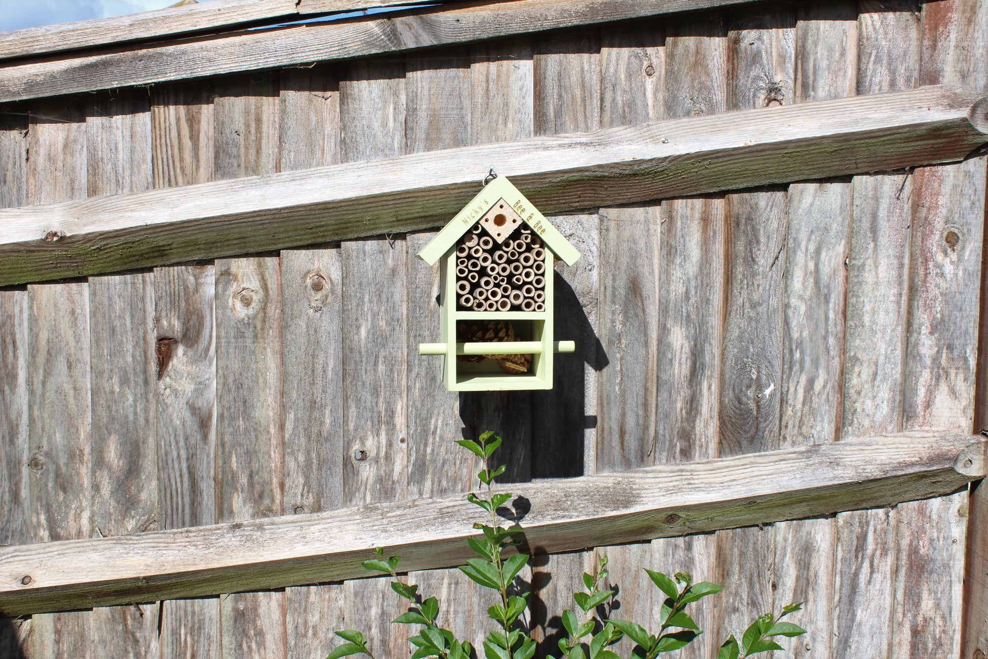 Personalised Bug and Bee Insect Home that's hanging on a wooden background outside the backyard.