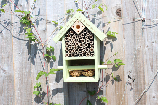 Personalised Bug and Bee Insect Home hanging on the wooden as a background.